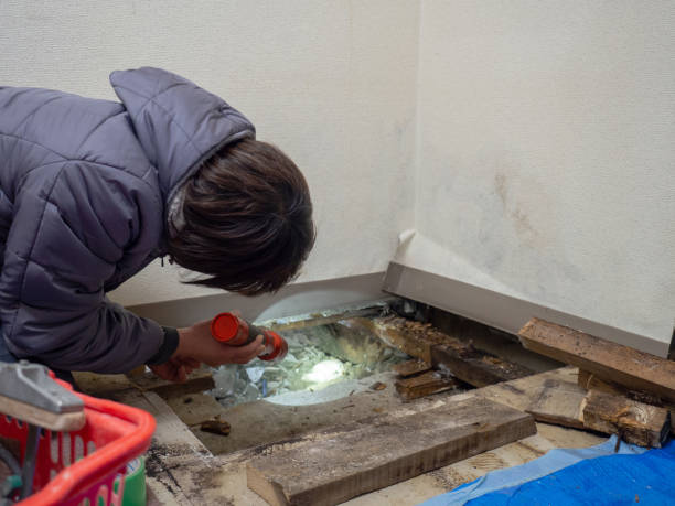Asbestos and Lead Testing During Mold Inspection in Plain City, OH