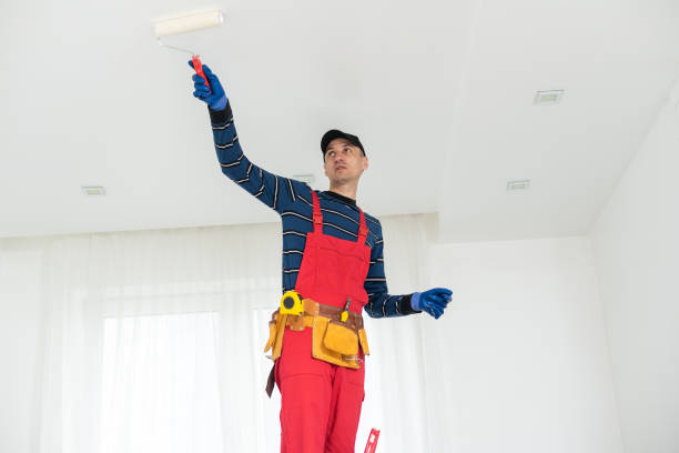 Best Commercial Mold Inspection  in Plain City, OH