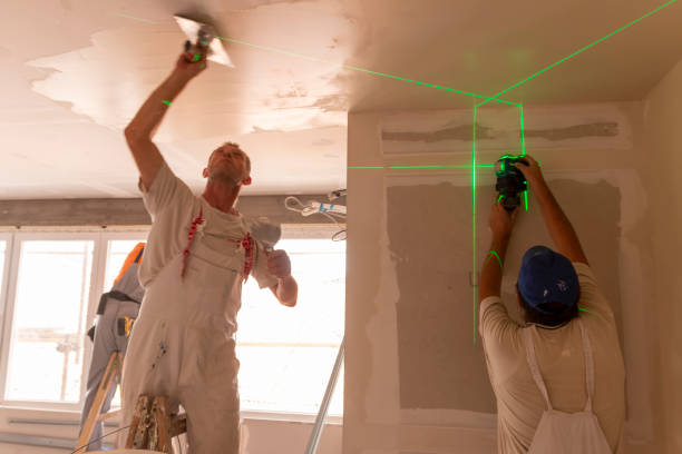 Best Attic Mold Removal  in Plain City, OH