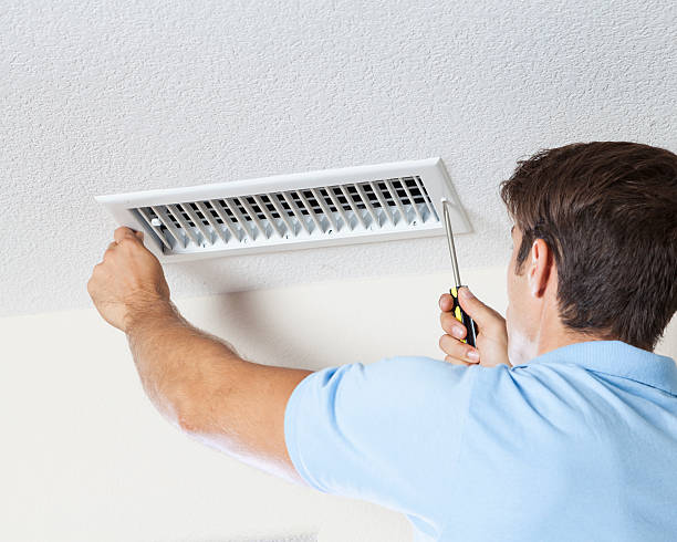 Best Mold Odor Removal Services  in Plain City, OH