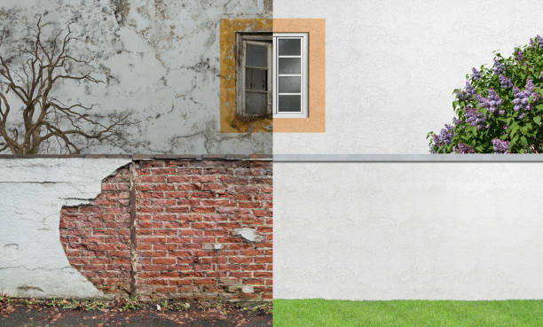 Best Mold Damage Restoration  in Plain City, OH